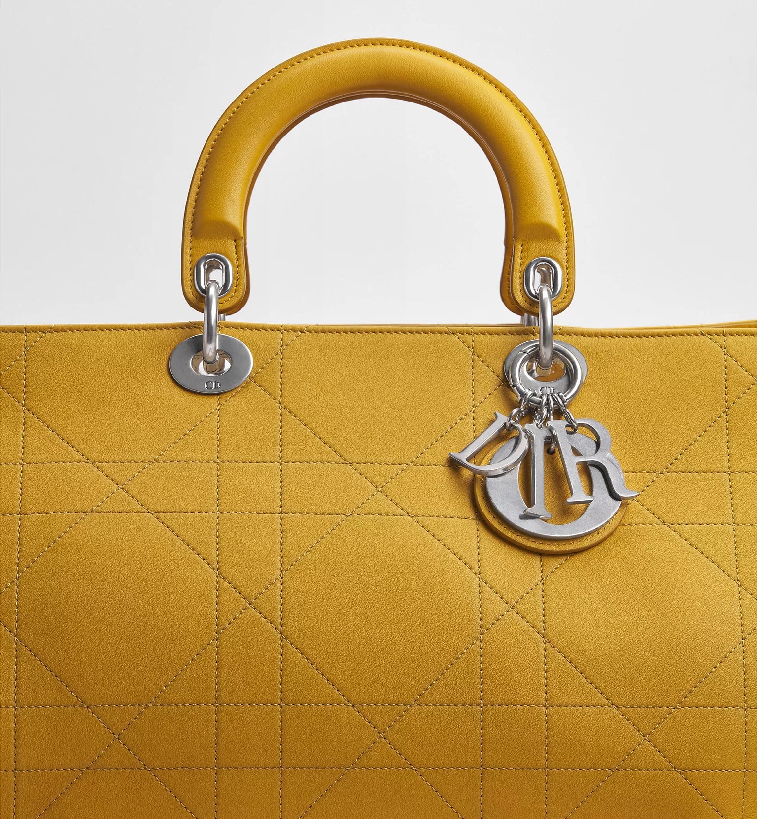Large Dior Granville Bag