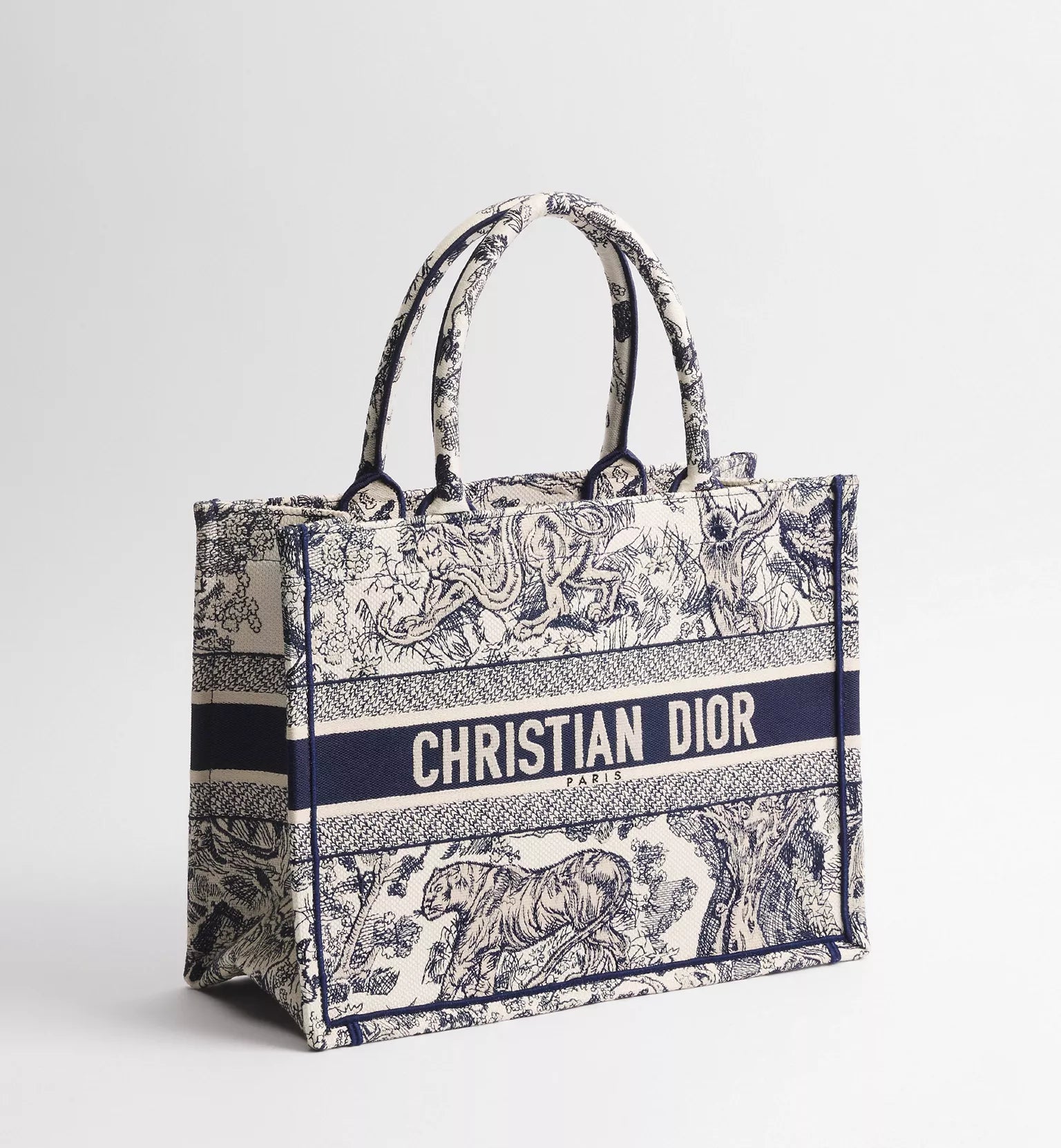 Medium Dior Book Tote