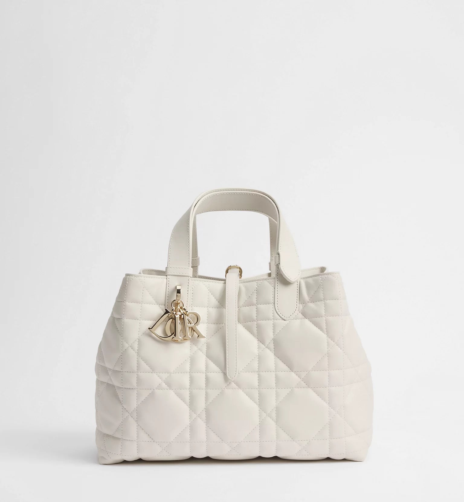 Medium Dior Toujours Bag