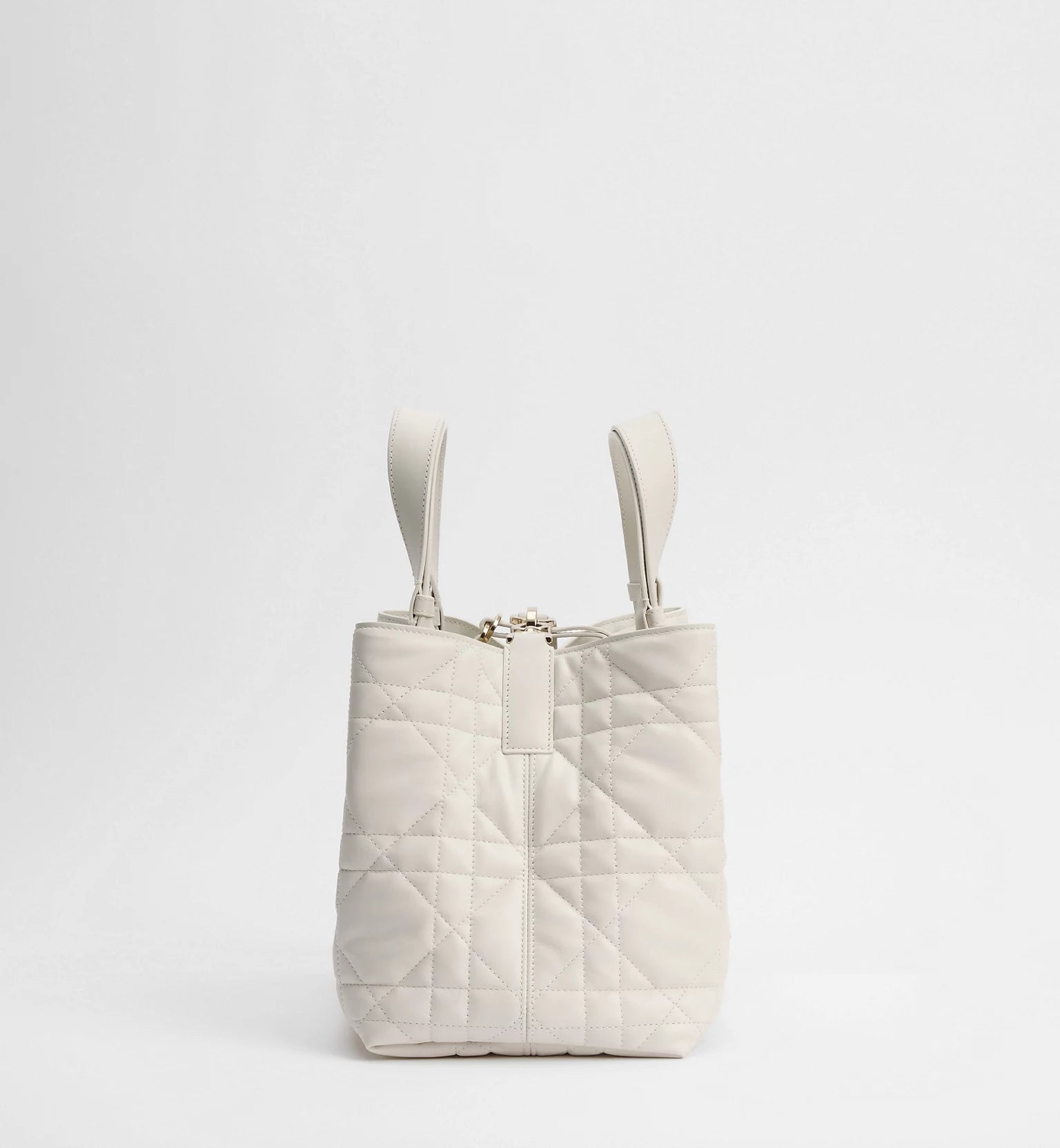 Medium Dior Toujours Bag