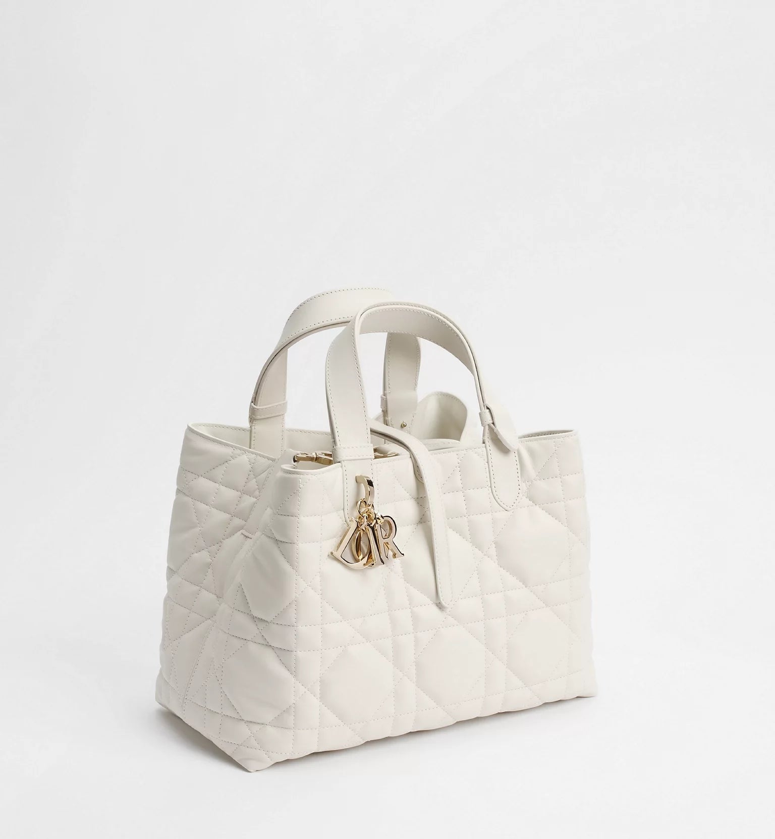Medium Dior Toujours Bag