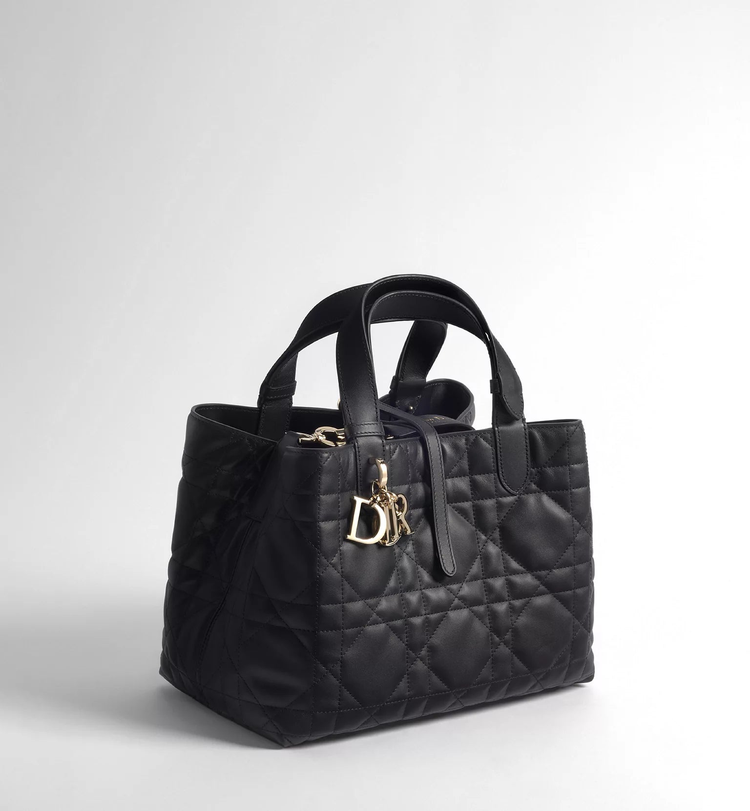 Medium Dior Toujours Bag