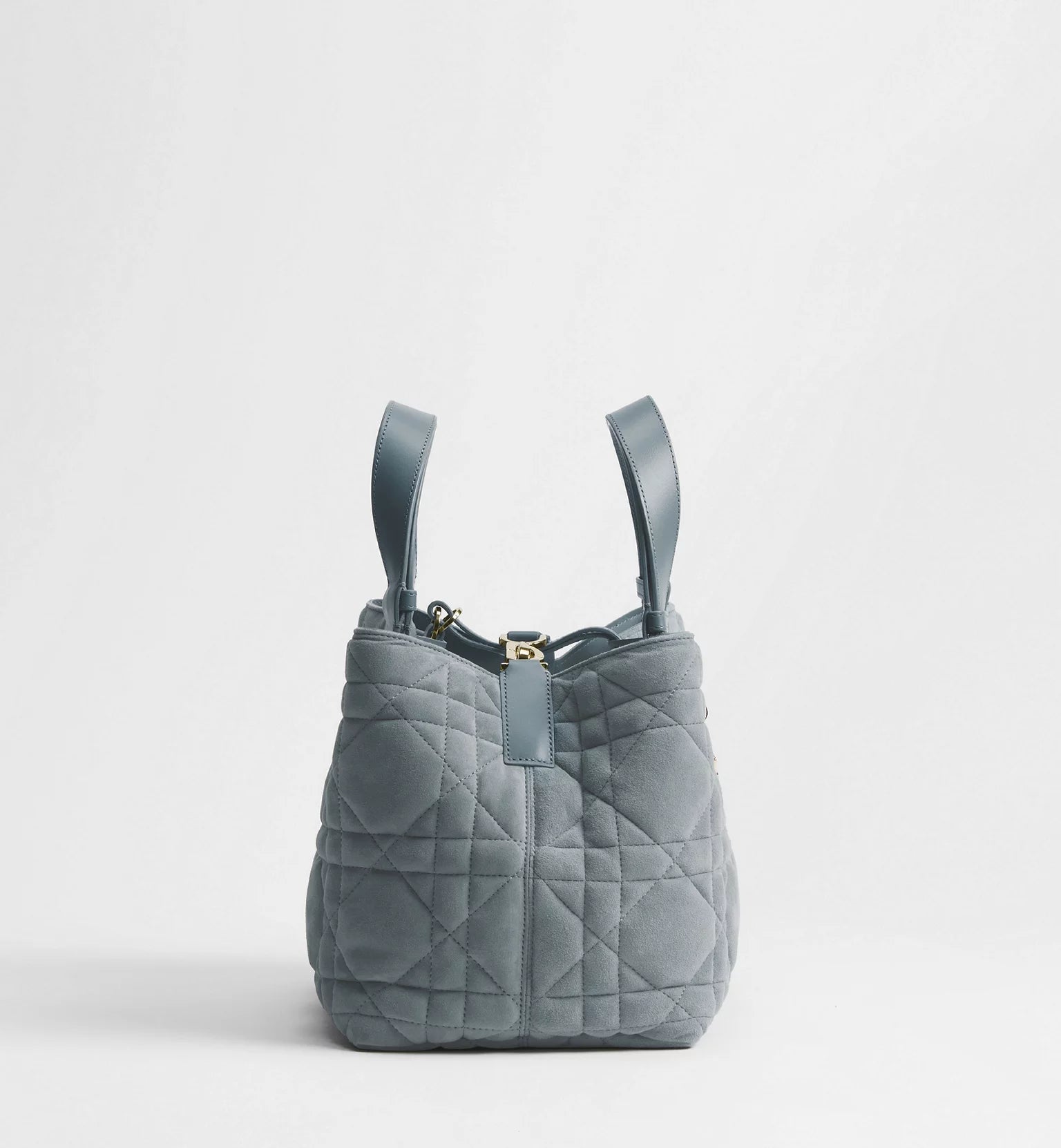 Medium Dior Toujours Bag