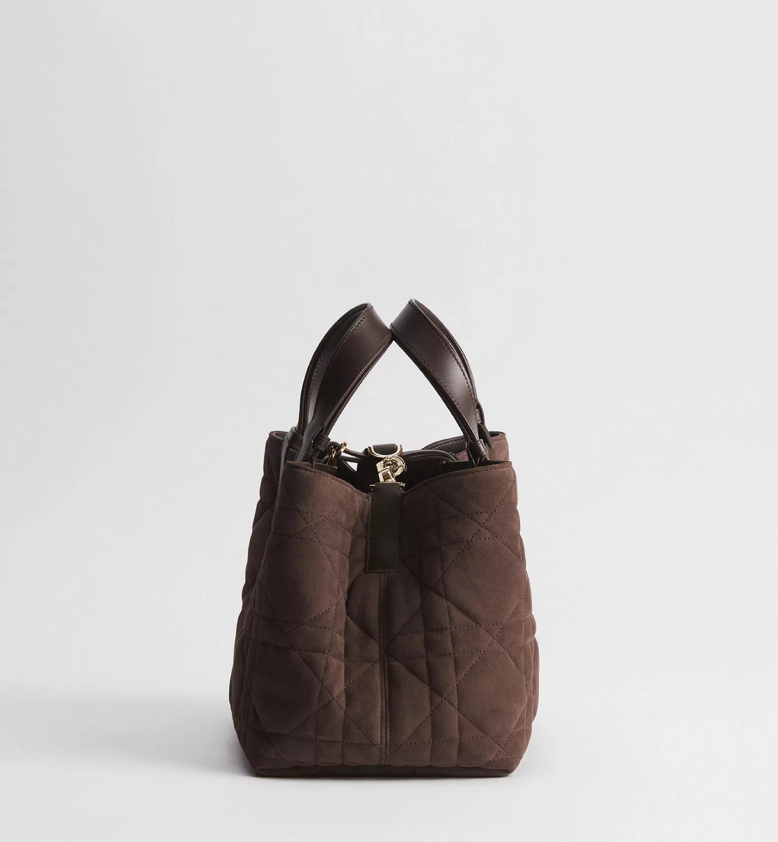 Medium Dior Toujours Bag
