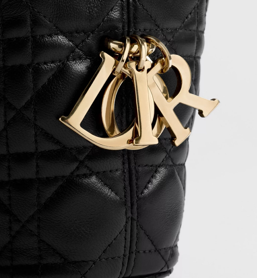 Small Dior Toujours Hobo Bag