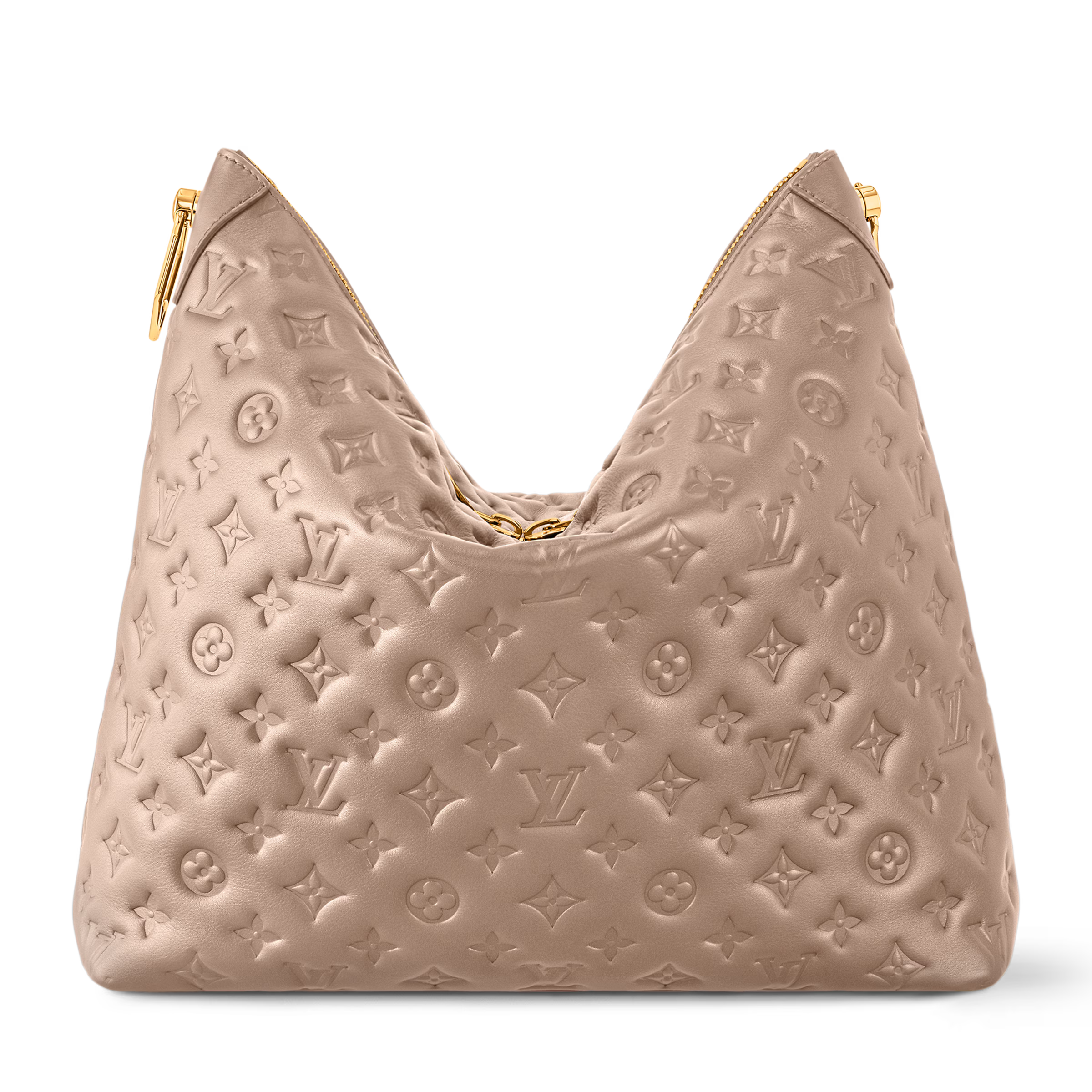 Coussin MM Hobo Bag
