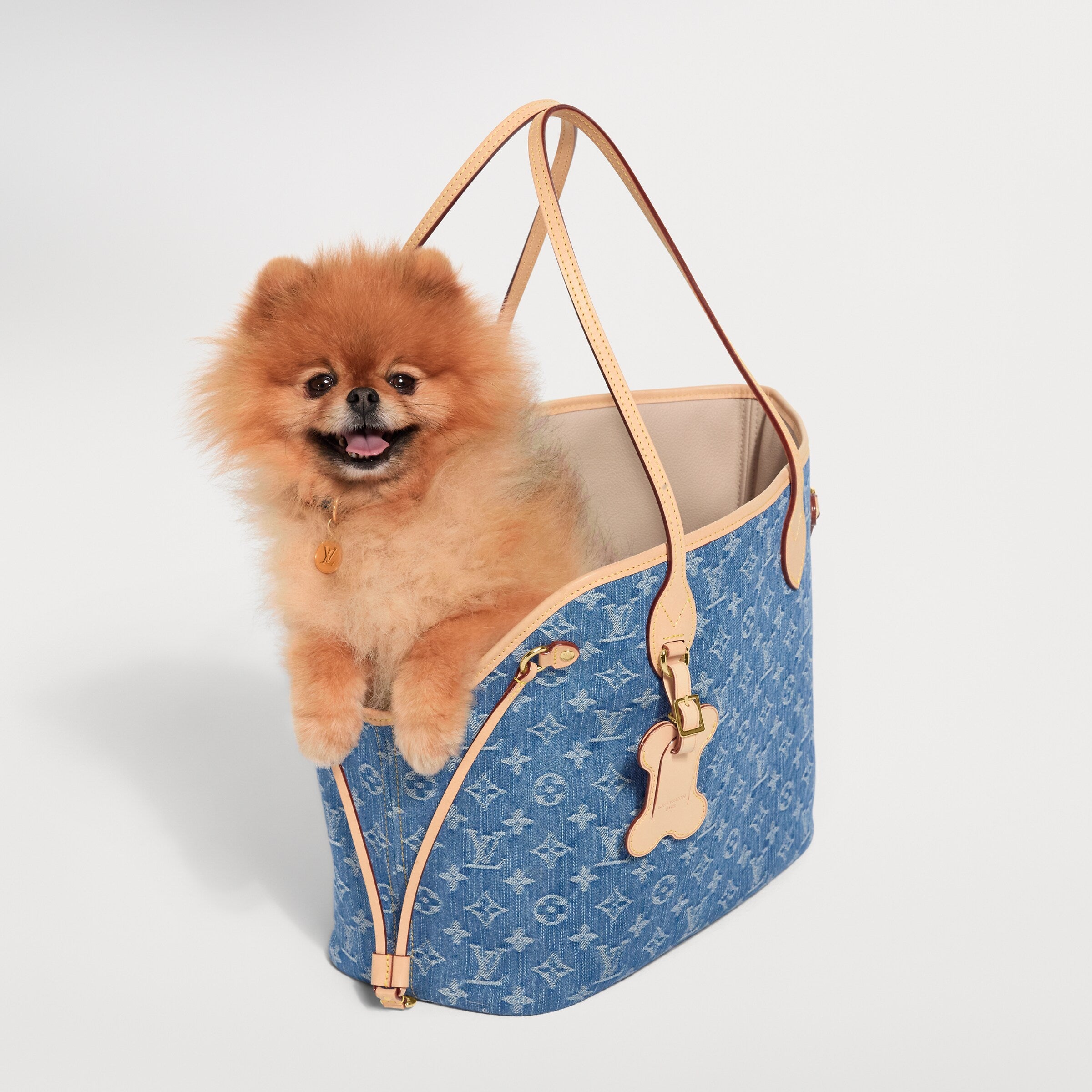 Neverwoof MM Pet Carrier