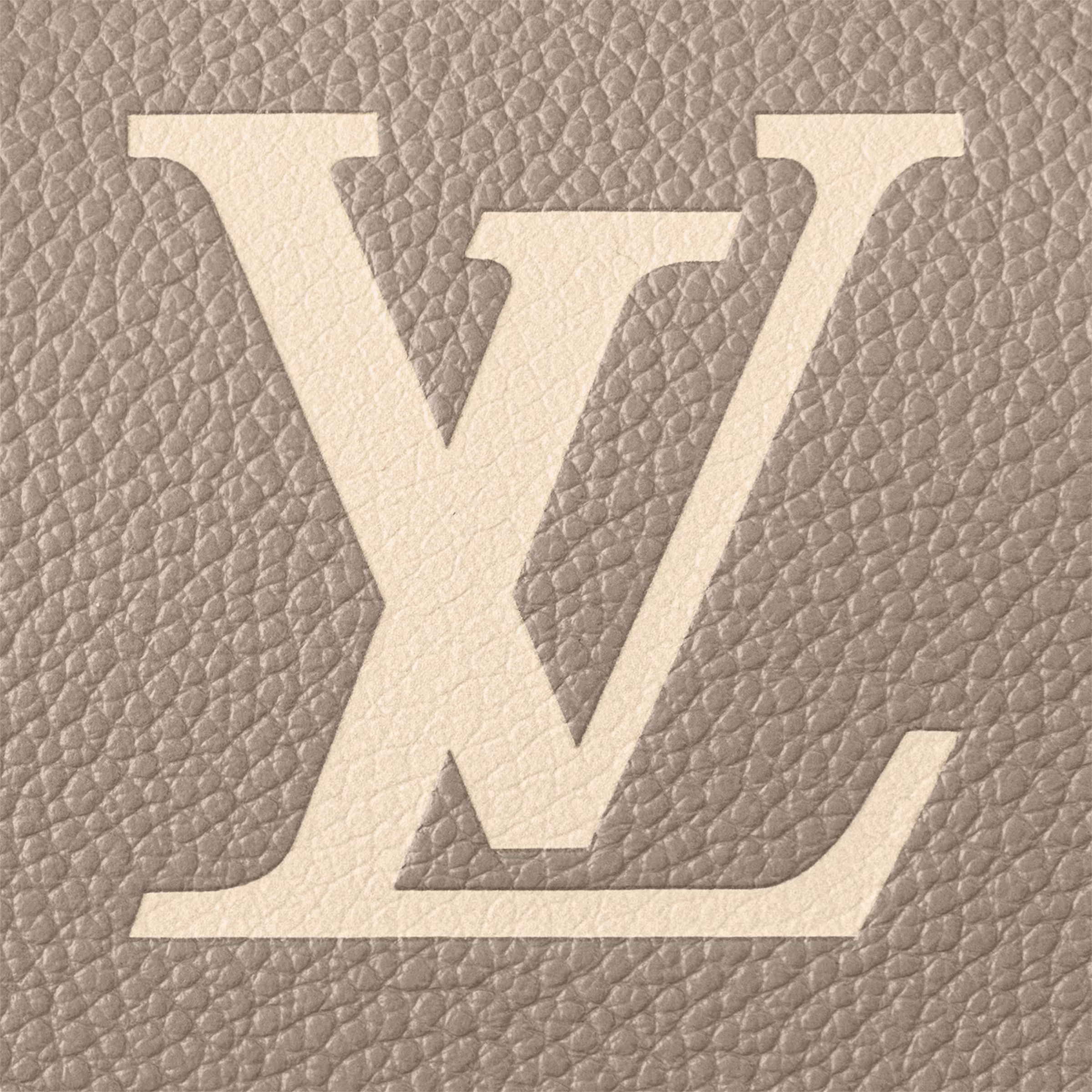 Speedy Bandoulière 20 Bag