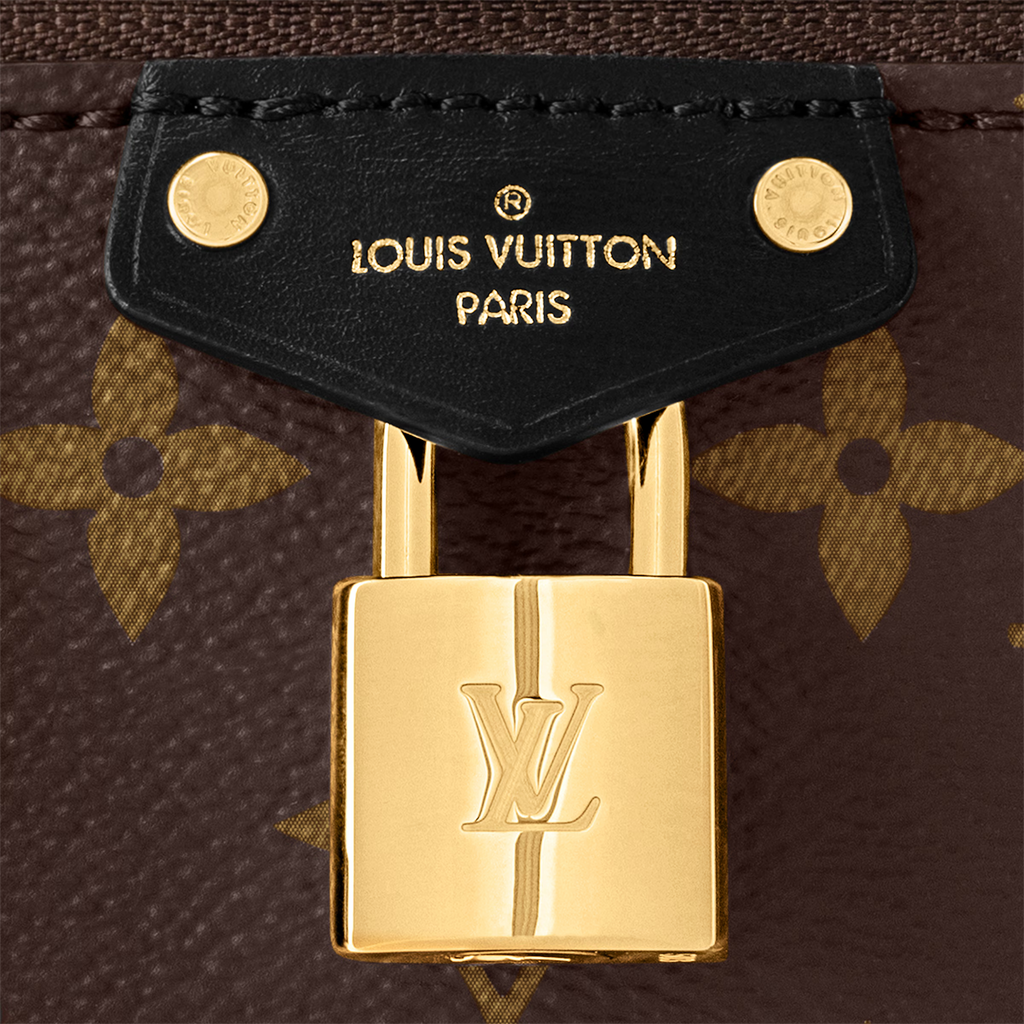 Vanity Chain Pouch Bag